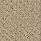 Shaw Austin Park Carpet in Boutique, , large