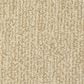 Masland Mesa Verde Carpet in Bleeker, , large