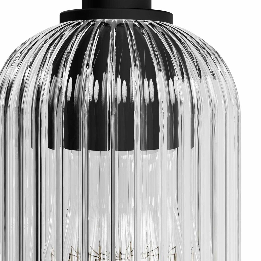 Hunter Beverly Glen Jasmine Roth 1-Light Mini Pendant in Matte Black, , large