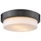 Golden Lighting Multi-Family 10.5" Flush Mount in Matte Black, , large