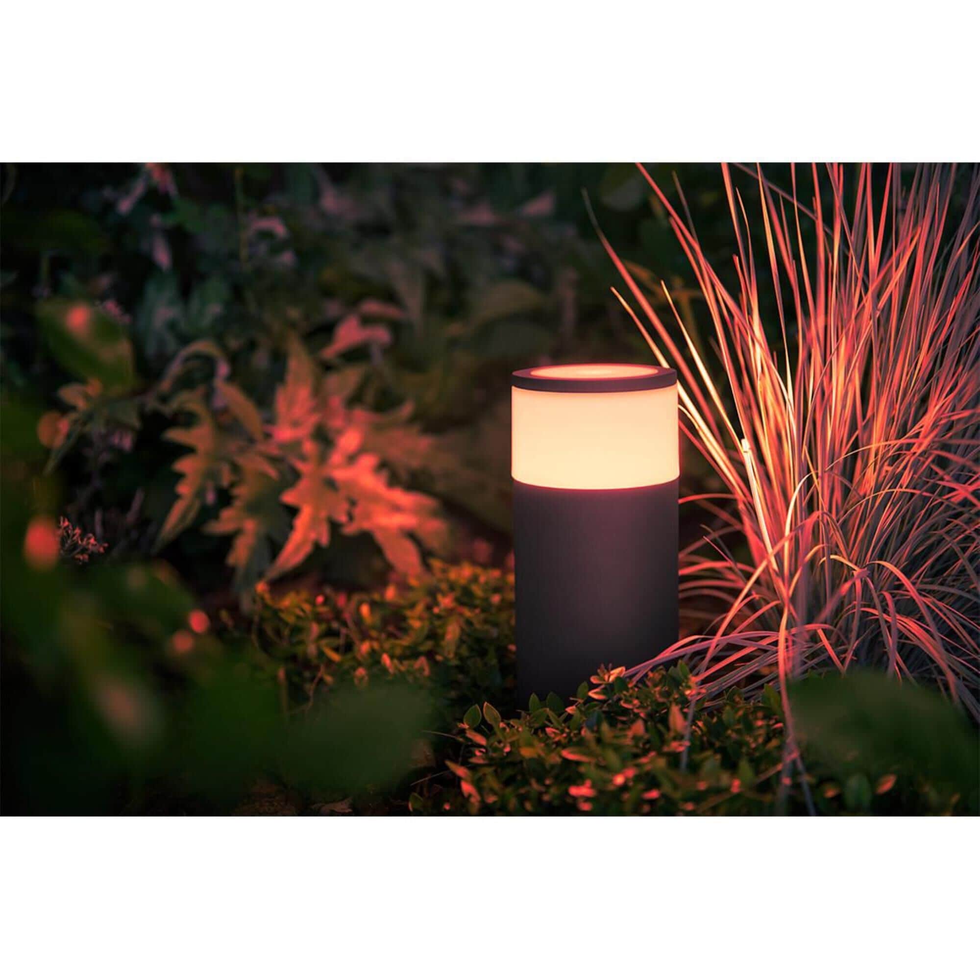 Philips hue pathway lights cheap