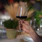 Bormioli Planeo Red Wine Glasses in Clear (Set of 4), , large