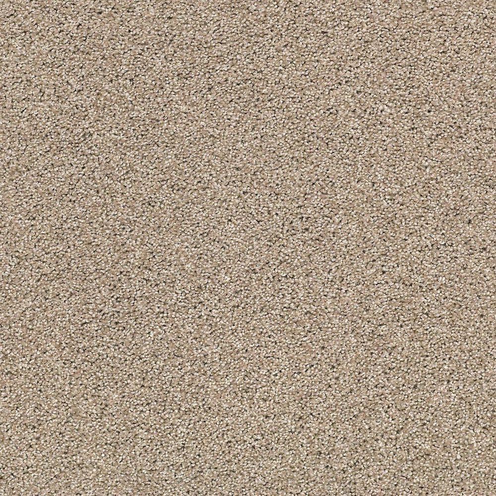 Anderson Tuftex Acadia Park Carpet in Mushroom, , large