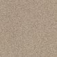 Anderson Tuftex Acadia Park Carpet in Mushroom, , large