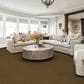 Karastan Stippled Carpet in Birch, , large