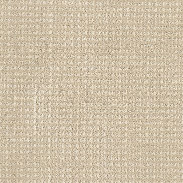 Dixie Home Feline Carpet in Cheshire, , large