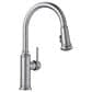 Blanco Empressa Pull-Down Kitchen Faucet 1.5 GPM in PVD Steel, , large