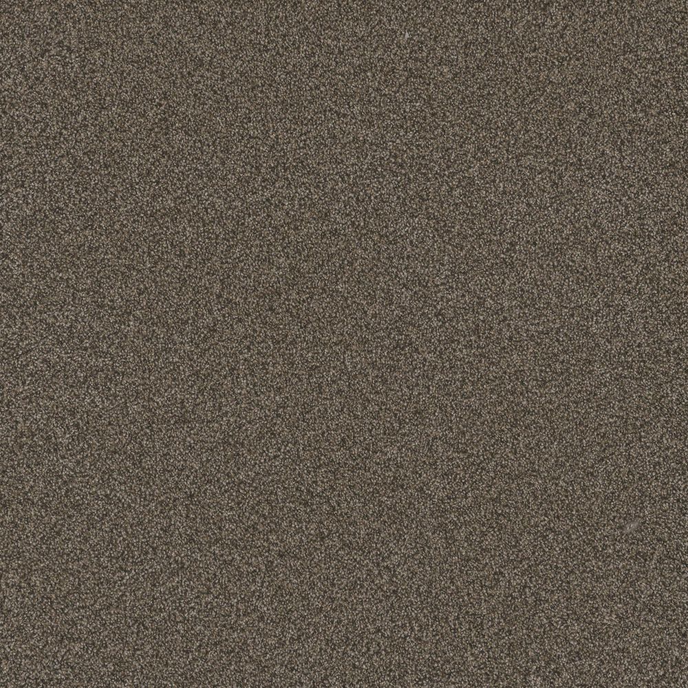 Dream Weaver Blazer III Carpet in French Roast, , large