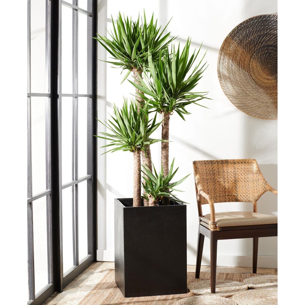 Safavieh Kendri Patio Planter in Black, , large