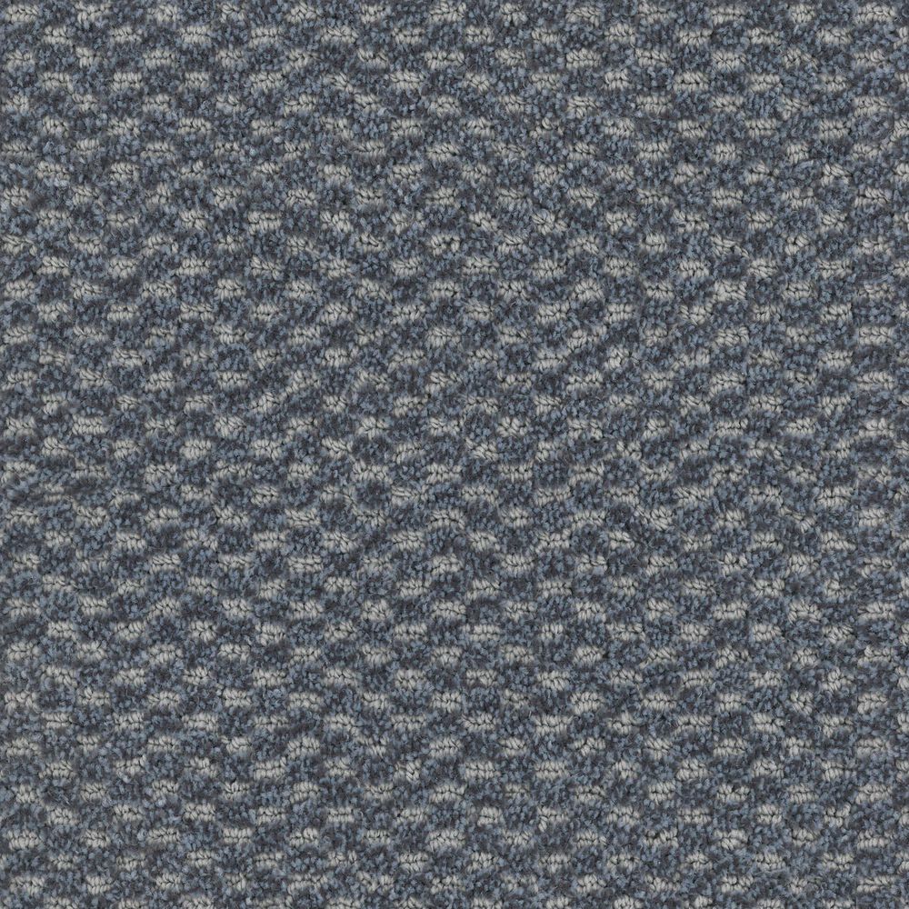 Dixie Home Soft Touch Carpet in Placid, , large