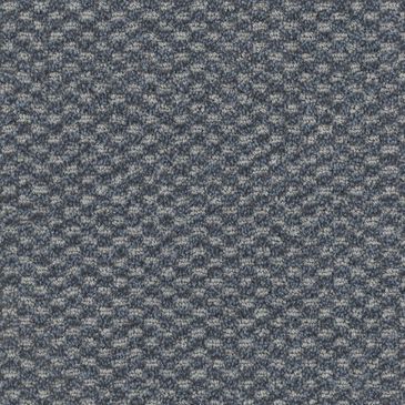 Dixie Home Soft Touch Carpet in Placid, , large