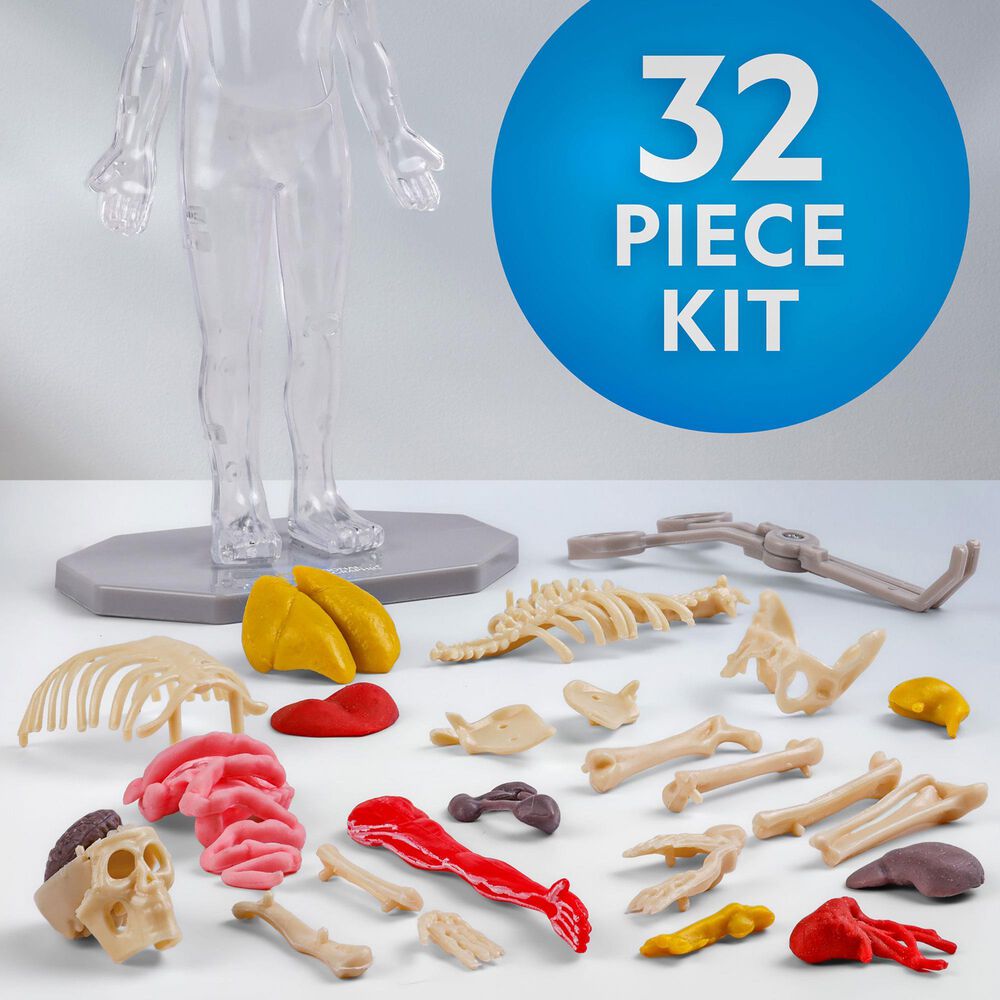 National Geographic Glow-In-The-Dark Human Body Interactive Anatomy Toys, , large