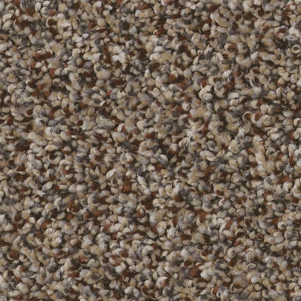 Shaw Bold Move Plus Carpet in Hay Seed, , large