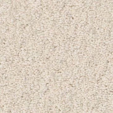Anderson Tuftex Enduring Charm Carpet in Cloud, , large