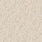 Anderson Tuftex Enduring Charm Carpet in Cloud, , large