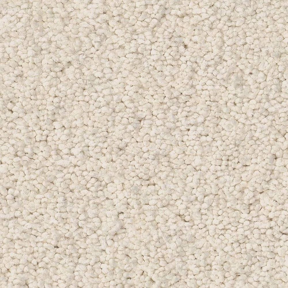 Anderson Tuftex Enduring Charm Carpet in Cloud, , large