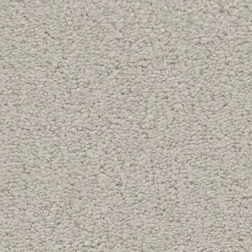 Anderson Tuftex Finery Carpet in Mussel, , large