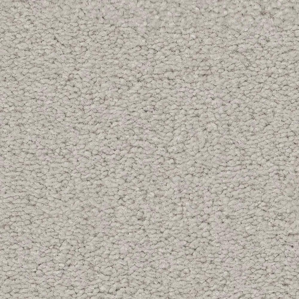 Anderson Tuftex Finery Carpet in Mussel, , large