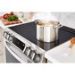 LG 6.3 Cu. Ft. Smart Induction Slide-in Range with InstaView in Stainless Steel, , large