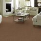 Philadelphia Simply Yours Remember Me Carpet in Pecan Praline, , large