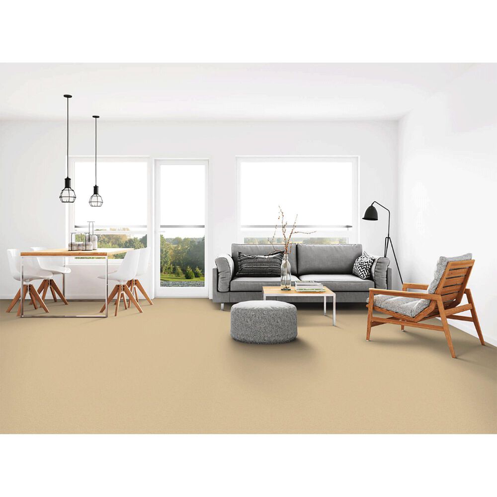 Dixie Home Neverland Carpet in Fairmont, , large