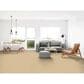Dixie Home Neverland Carpet in Fairmont, , large