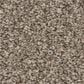 Shaw Feelin" Alright Carpet in Nature Trail, , large