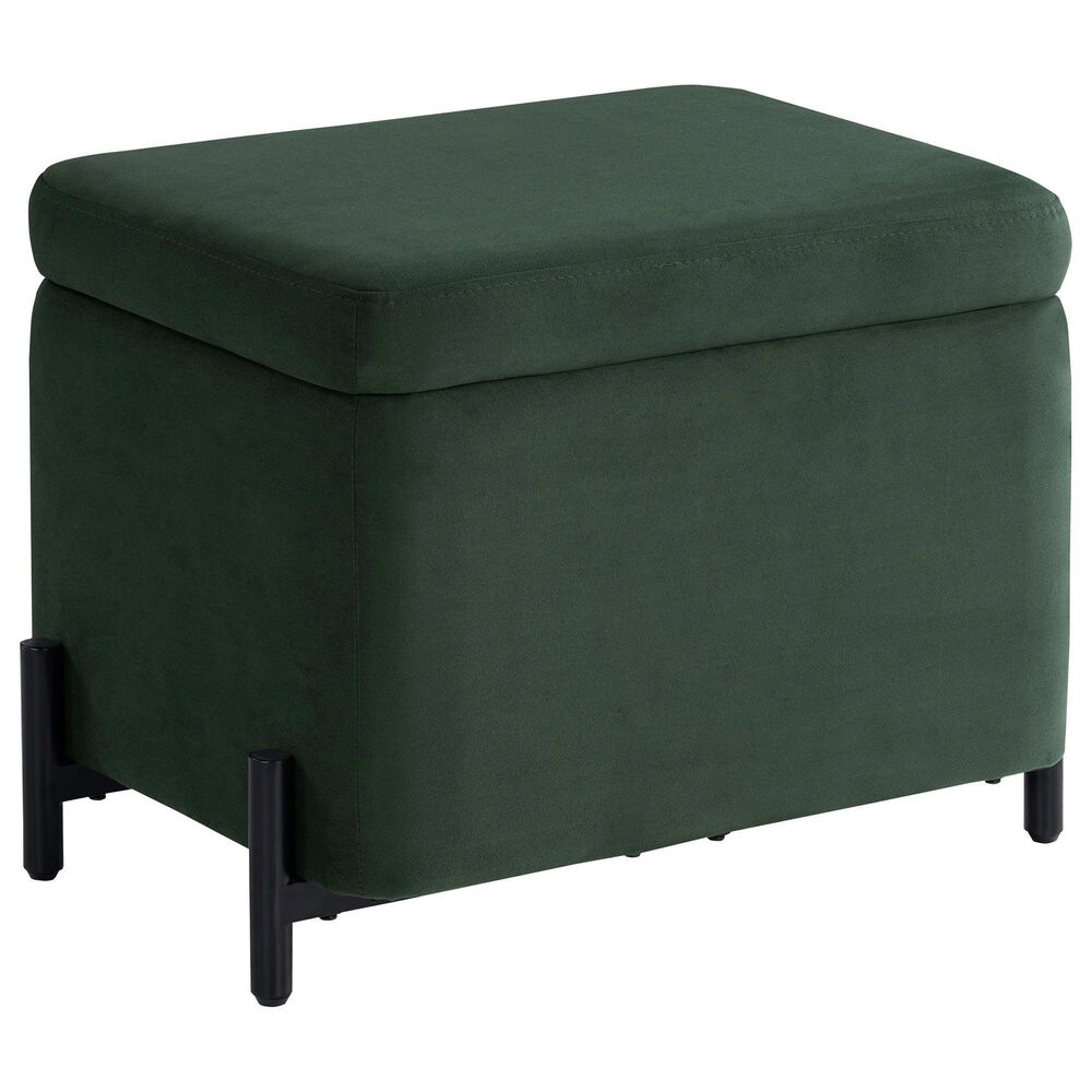 Lifestyle Solutions Kona Small Storage Ottoman in Green, , large