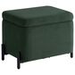 Lifestyle Solutions Kona Small Storage Ottoman in Green, , large