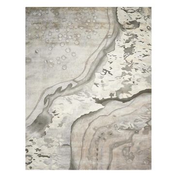 Nourison Prismatic PRS05 7"9" x 9"9" Silver Cloud Area Rug, , large