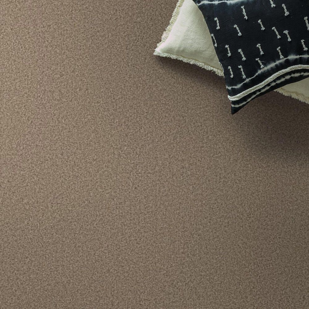 Anderson Tuftex Somerset Carpet in Sugar Cookie, , large