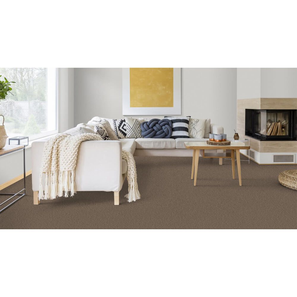 Dixie Home Winding Creek Carpet in Shadow, , large