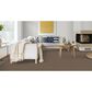 Dixie Home Winding Creek Carpet in Shadow, , large