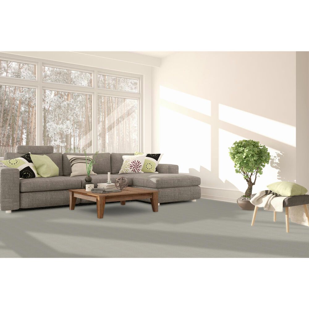 Dream Weaver Amalfi Carpet in Spartis, , large