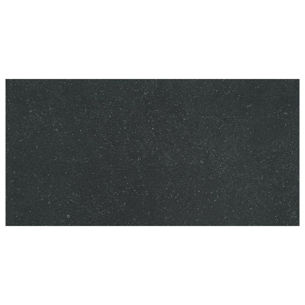 Dal-Tile Outlander Palazzo Onyx 12" x 24" Porcelain Tile, , large
