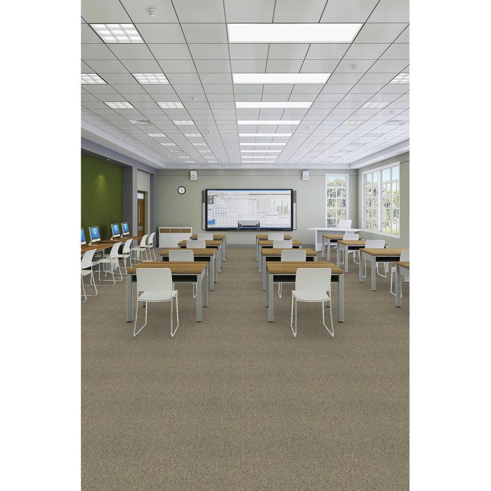 Shaw Multiplicity 18&quot; x 36&quot; Carpet Tile in Plethora, , large