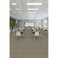 Shaw Multiplicity 18" x 36" Carpet Tile in Plethora, , large
