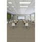 Shaw Multiplicity 18" x 36" Carpet Tile in Plethora, , large