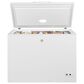 GE Appliances 10.7 Cu. Ft. Manual Defrost Chest Freezer in White, , large