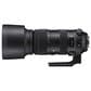 Sigma 60-600mm F4.5-6.3 DG OS HSM S., , large