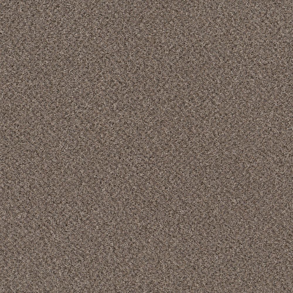 Philadelphia Mixed Essentials Carpet in Burro Brown, , large