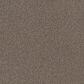 Philadelphia Mixed Essentials Carpet in Burro Brown, , large