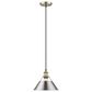 Golden Lighting Orwell 1-Light Medium Pendant with Pewter Shade in Aged Brass, , large