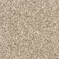 Dixie Home Natural Beauty Carpet in Pebble, , large