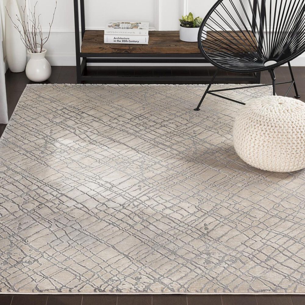 Surya Tibetan TBT-2314 7&#39;10&quot; x 10&#39;3&quot; Gray, Cream and Taupe Area Rug, , large