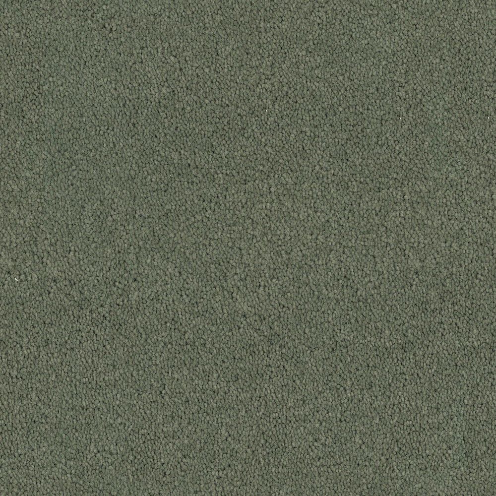 Fabrica Tribute Carpet in Dolce, , large