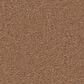 Anderson Tuftex Finery Carpet in Camel, , large