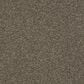 Shaw Del Morro Carpet in Fallen Rock, , large