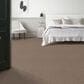 Anderson Tuftex Caboodle Carpet in Camelback, , large