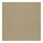 Shaw Counterpart 24" x 24" Carpet Tile in Copy Cat, , large